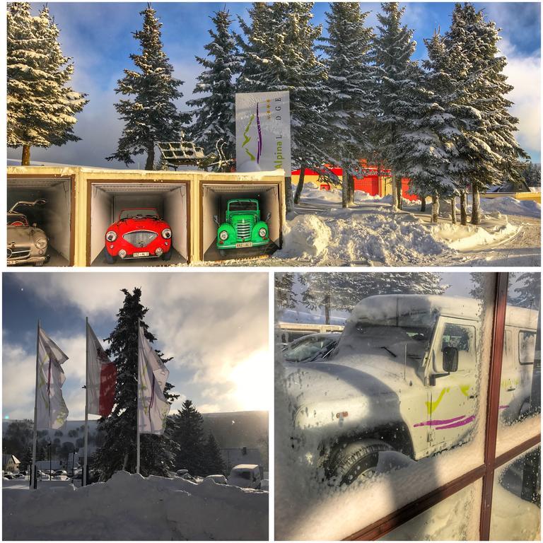 Alpina Lodge Hotel Oberwiesenthal Exterior photo